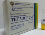 тетлонг